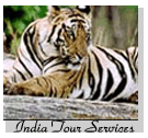 Indian Tiger Tours